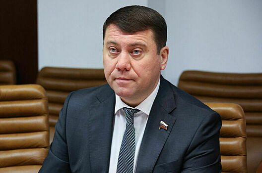 Сенатор Абрамов поддержал идею быстрой блокировки продажи подделок на маркетплейсах