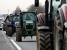 Сельские хозяйства Великобритании оказались на грани разорения