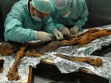 Настоящая палеодиета: что ели люди 5000 лет назад