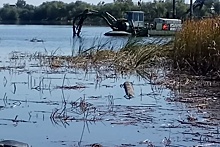 В Алтайском крае расчищают водоемы и строят защитные дамбы на реках и озерах