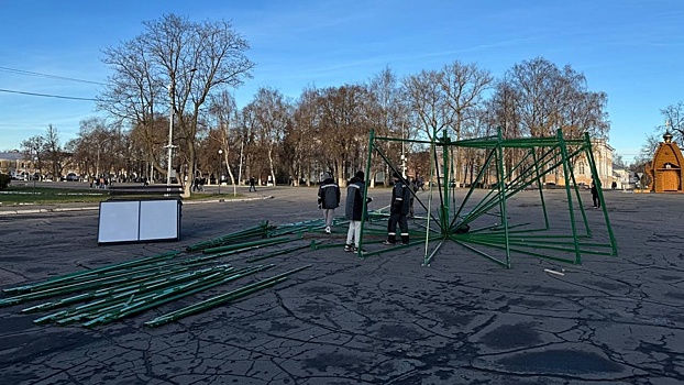 Новогоднюю ель монтируют на площади Революции в Вологде