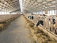 Компания «Нока Агро» планирует переходить на российскую технику