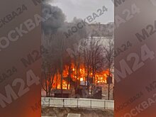 Пожар произошел на пляже в парке имени Толстого в Химках