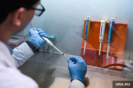 Ученые из Екатеринбурга нашли способ победить рак