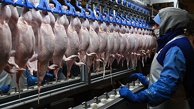 Россия согласовала ветсертификат на поставку мяса птицы в Сингапур