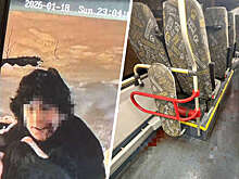 Полиция задержала подозреваемого в убийстве в Электростали