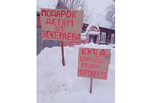 Свердловчанка, назвавшая снежную кучу в честь мэра, заявила об избиении