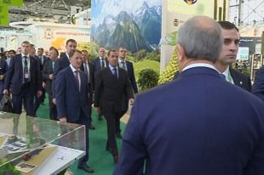 Радаев рассказал Медведеву об аграрным потенциале Саратовской области