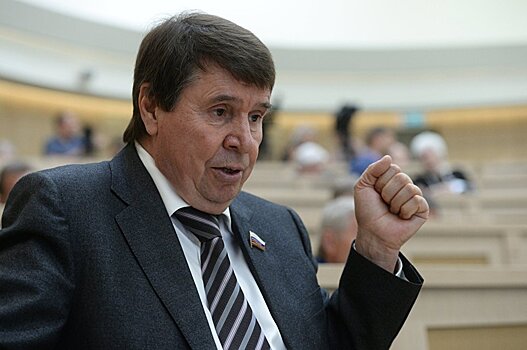 "В Америке же есть адекватные люди": в Совфеде прокомментировали заявление Госдепа