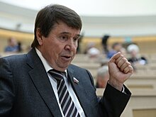 "В Америке же есть адекватные люди": в Совфеде прокомментировали заявление Госдепа