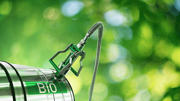 Бразилия представила в Давосе предложение о создании глобального агентства по биотопливу