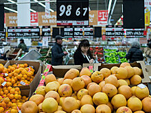 Кабмин разрешил ввоз в Россию ряда продуктов из Турции