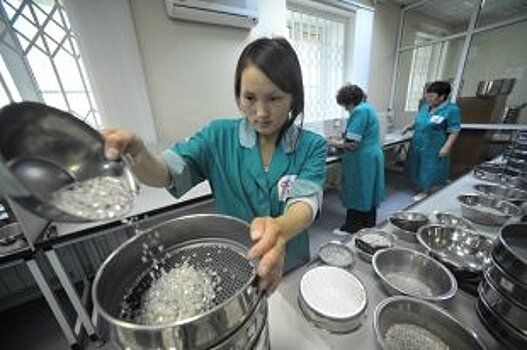 В России поддержат производителей бриллиантов