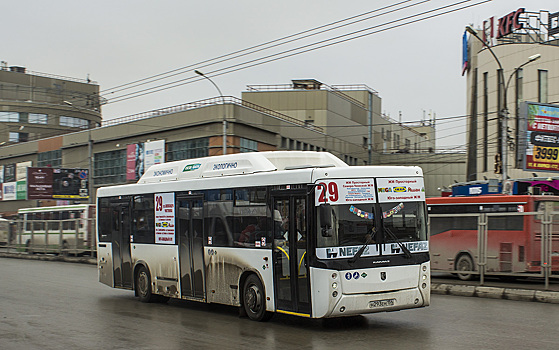 В Новосибирске отстранили от работы водителя автобуса после скандала с женщиной и ребёнком