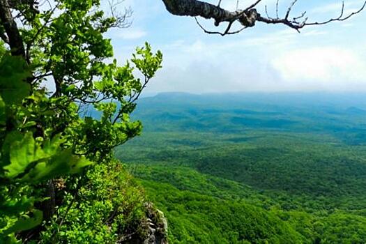 На две трети вырос турпоток в национальном парке Земля Леопарда