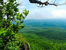 На две трети вырос турпоток в национальном парке Земля Леопарда