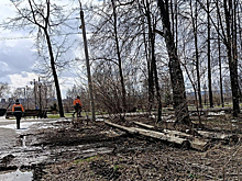 Рабочие вырвали опоры освещения около кемеровского ДК