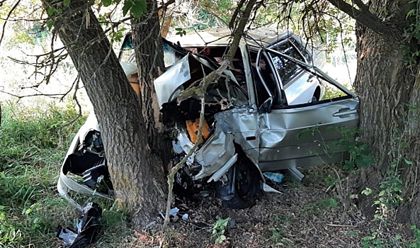 В Волгоградской области женщина-водитель на легковушке врезалась в дерево