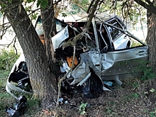 В Волгоградской области женщина-водитель на легковушке врезалась в дерево
