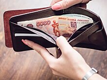 Россиянам рассказали, в каких сферах могут вырасти зарплаты