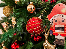 Не обеднеть после праздников: эксперты рассказали, как спланировать новогодний бюджет