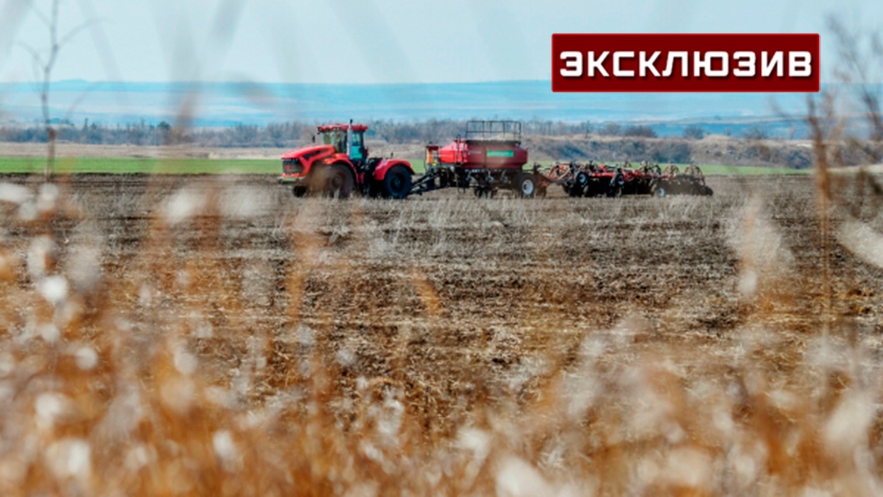Профессор Холод оценил влияние на цены гибели урожая из-за заморозков в РФ