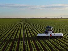 Многофункциональный агробот будет обслуживать 40 процентов морковных полей в США