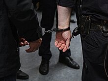 Россиянина осудили на 10 лет за избиение до смерти пожилой матери из-за алкоголя