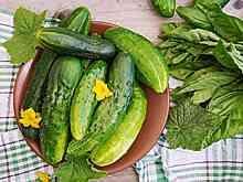 Жареные огурцы: так вы их еще не готовили