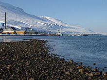 На Шпицбергене нашли следы морской экосистемы возрастом 249 млн лет