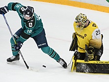 Домашнее поражение от «Северстали» потерпели хоккеисты «Торпедо»