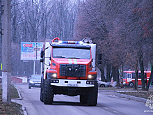 В Курской области загорелась птицефабрика