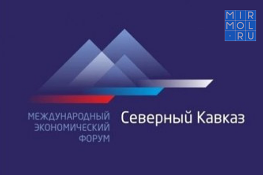 В Дагестане стартовал экспертный форум «Северный Кавказ – 2030: развитие территорий»
