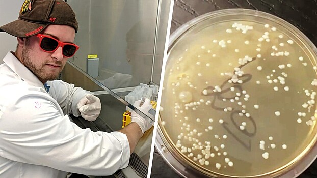 Микробиолог провел эксперимент и показал, почему нельзя есть еду с пола