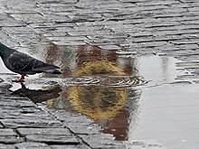 Прогноз погоды в Москве на сегодня 19 сентября