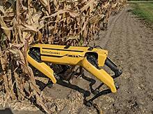 Роскомнадзор собрался заблокировать ещё шесть VPN-сервисов