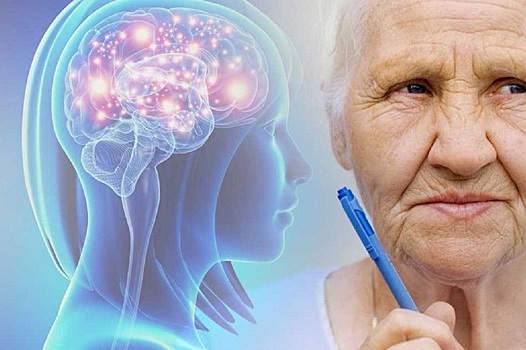 Ученые выявили диету, которая замедляет старение мозга