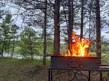 Екатеринбуржцев оставят без мангалов в парках: «Не дать городу вспыхнуть по периметру»
