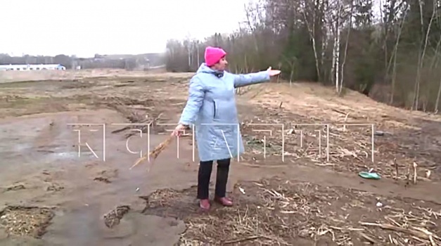 Поля под Чкаловском в Нижегородской области покрылись лужами с навозом