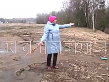 Поля под Чкаловском в Нижегородской области покрылись лужами с навозом