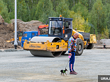 ФАС приостановила ремонт дороги в ЯНАО