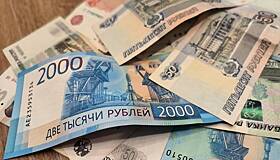 Российская чиновница взяла 52 кредита и попросила признать себя банкротом