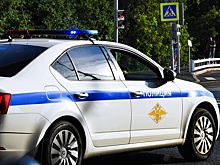 В Ростовской области пенсионер открыл стрельбу по школьницам, собиравшим черешню