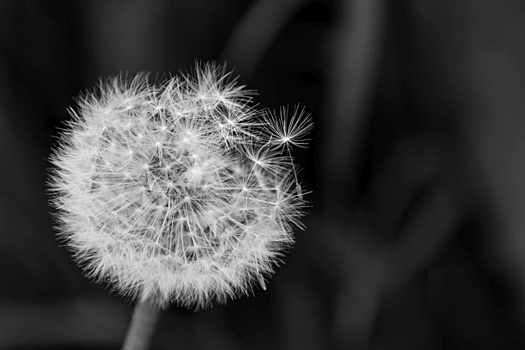 Умерла актриса Валерия Огэшану