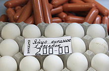 ФАС проверит обоснованность роста цен на яйца