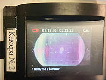 «До настоящего органа далеко»: зачем на МКС напечатали щитовидку мыши