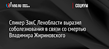 Спикер ЗакС Ленобласти выразил соболезнования в связи со смертью Владимира Жириновского