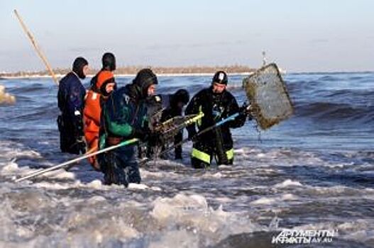 Нарваться на "линзу". Насколько опасна и выгодна незаконная добыча янтаря