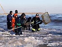 Нарваться на "линзу". Насколько опасна и выгодна незаконная добыча янтаря