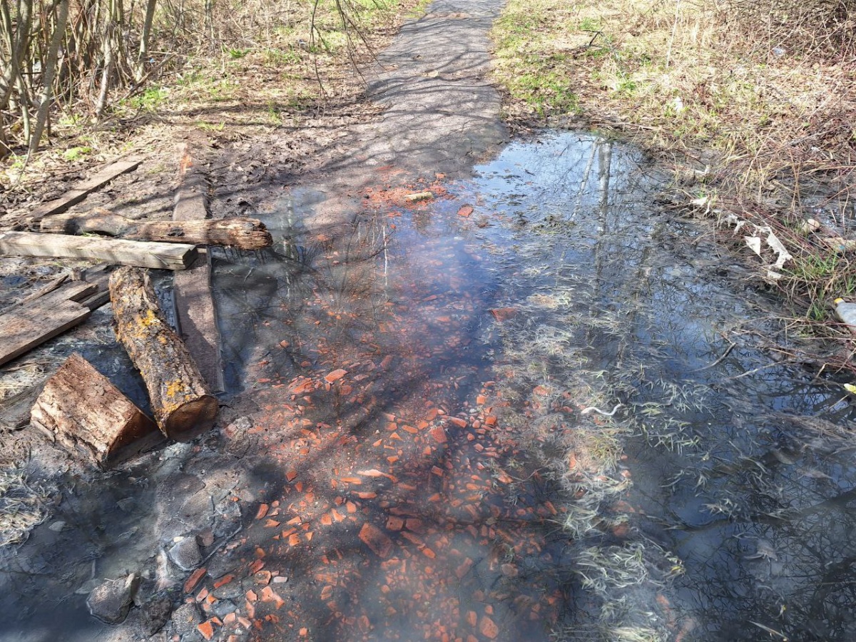 Росприроднадзор заинтересовался разливом канализации в Богородске